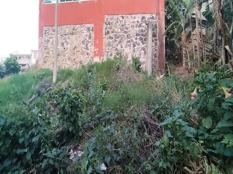 TERRENO en VENTA en EL OLMO, Xalapa