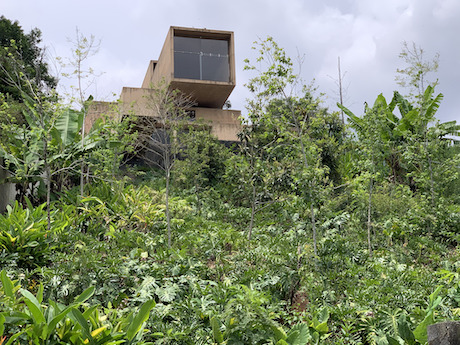 CASA en RENTA en BARRANCA HONDA, Xalapa