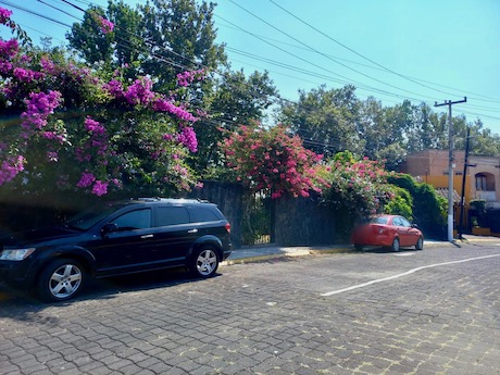 CASA en RENTA en ANIMAS JARDINES, Xalapa