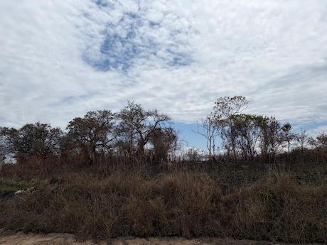 TERRENO en VENTA en EL LENCERO, Xalapa