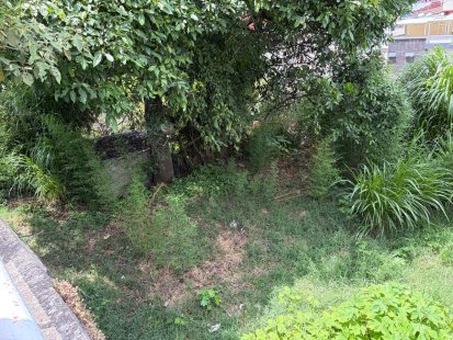 TERRENO en VENTA en TRES DE MAYO, Xalapa